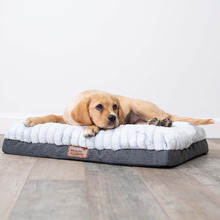 Cloud Comfort Pet Bed